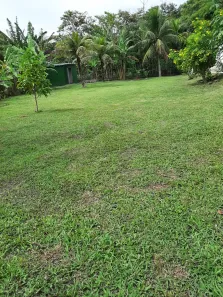 Fazenda / Sítio / Chácara com 3 Quartos à venda, 175m² no Campo Grande, Rio de Janeiro