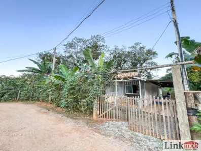 Fazenda / Sítio / Chácara com 3 Quartos à venda, 3000m² no , Antonina