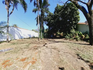 Fazenda / Sítio / Chácara com 4 Quartos para alugar, 217m² no Recreio das Acácias, Ribeirão Preto