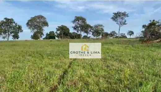 Fazenda / Sítio / Chácara com 5 Quartos à venda, 800m² no Padre Bernardo, Padre Bernardo