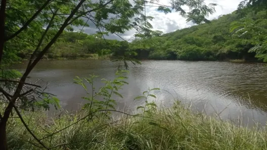 Fazenda / Sítio / Chácara com 4 Quartos à venda, 140000m² no , Pombos