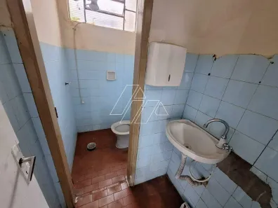 Loja / Salão / Ponto Comercial para alugar, 30m² no Palmital, Marília