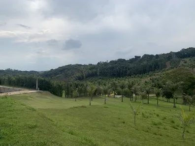 Fazenda / Sítio / Chácara com 3 Quartos à venda, 260000m² no Taiaçupeba, Mogi das Cruzes