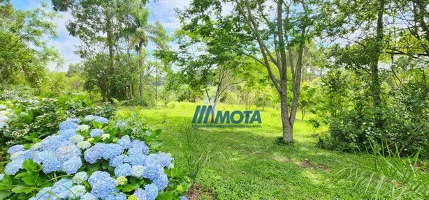Fazenda / Sítio / Chácara com 3 Quartos à venda, 150m² no Lagoinha, Tijucas do Sul