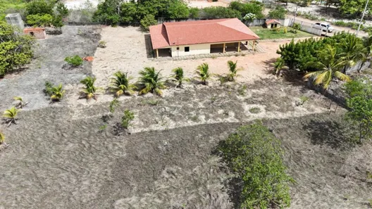 Fazenda / Sítio / Chácara com 5 Quartos para venda ou aluguel, 360m² no ESTRADA DO MURITI, Paracuru