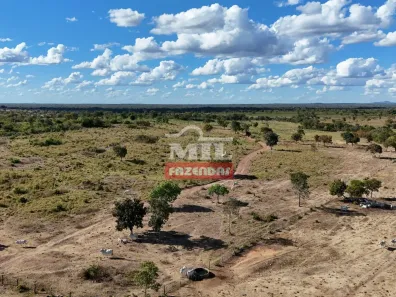 Fazenda / Sítio / Chácara à venda, 500m² no , Paranã
