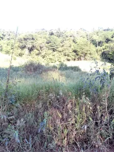 Fazenda / Sítio / Chácara com 1 Quarto à venda, 4000m² no Área Rural de Viçosa, Viçosa