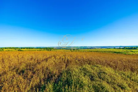 Fazenda / Sítio / Chácara com 1 Quarto à venda, 456017m² no Centro, Ponta Grossa