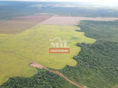 Fazenda / Sítio / Chácara à venda, 55000000m² no , Pedro Afonso