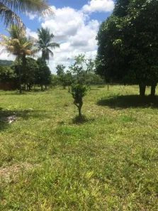 Fazenda / Sítio / Chácara com 4 Quartos à venda, 189m² no , Agrestina
