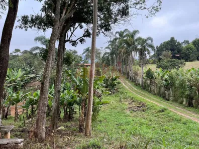 Fazenda / Sítio / Chácara com 3 Quartos à venda, 1m² no Tanque Caio, Ribeirão Pires