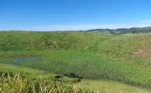 Fazenda / Sítio / Chácara com 2 Quartos à venda, 180000m² no Olaria, Nova Friburgo