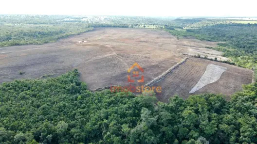 Fazenda / Sítio / Chácara à venda, 7080000m² no Paraíso do Tocantins, Paraíso do Tocantins