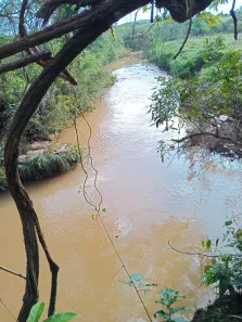 Fazenda / Sítio / Chácara com 4 Quartos à venda, 340000m² no Área Rural de Águas Lindas de Goiás, Águas Lindas de Goiás