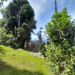 Fazenda / Sítio / Chácara com 2 Quartos à venda, 8372m² no Paiol do Meio, São Lourenço da Serra