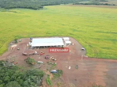 Fazenda / Sítio / Chácara à venda, 55000000m² no , Pedro Afonso