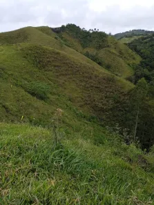 Fazenda / Sítio / Chácara à venda, 16940000m² no , Rio Branco do Sul