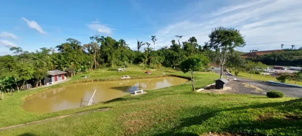 Fazenda / Sítio / Chácara com 3 Quartos à venda, 18000m² no , Antonina
