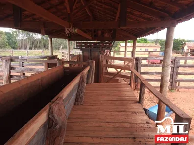 Fazenda / Sítio / Chácara à venda, 500m² no , Lagoa Santa