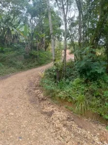 Fazenda / Sítio / Chácara com 2 Quartos à venda, 100m² no Centro, Rio Branco do Sul