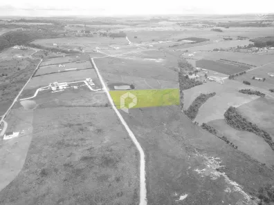 Terreno / Lote / Condomínio à venda, 20000m² no São Luiz do Purunã, Balsa Nova
