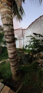 Fazenda / Sítio / Chácara com 1 Quarto para alugar, 80m² no Jardim Santo Antônio da Boa Vista, Jacareí
