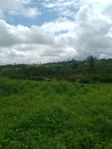Fazenda / Sítio / Chácara com 4 Quartos à venda, 40000m² no , Feira Nova