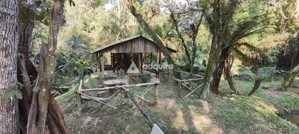 Fazenda / Sítio / Chácara com 3 Quartos à venda, 12864m² no Uvaia, Ponta Grossa