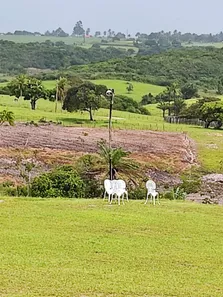 Fazenda / Sítio / Chácara com 4 Quartos à venda, 580000m² no , Brejinho
