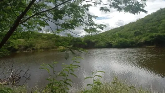 Fazenda / Sítio / Chácara com 4 Quartos à venda, 140000m² no , Pombos