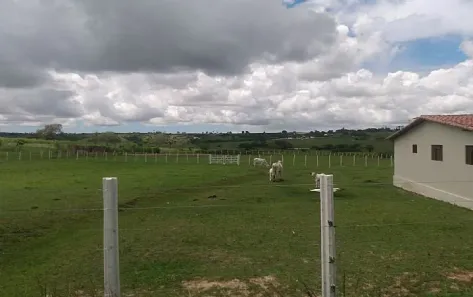 Fazenda / Sítio / Chácara à venda, 250m² no Centro, Brejinho