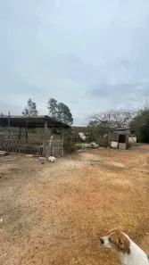 Fazenda / Sítio / Chácara com 6 Quartos à venda, 27000m² no Chácara São Benedito, Capivari