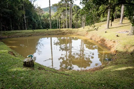 Fazenda / Sítio / Chácara à venda, 72600m² no Centro, São José dos Pinhais