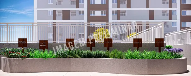 Apartamento com 2 Quartos à venda, 35m² no Guaianazes, São Paulo
