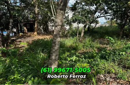 Casa de Condomínio com 4 Quartos à venda, 1000m² no Centro, Alexânia