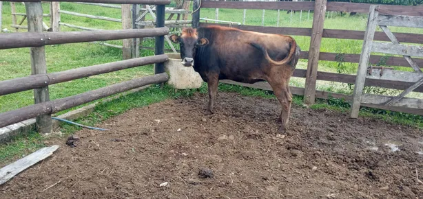 Fazenda / Sítio / Chácara com 6 Quartos à venda, 20000m² no Núcleo Rural Lago Oeste, Brasília