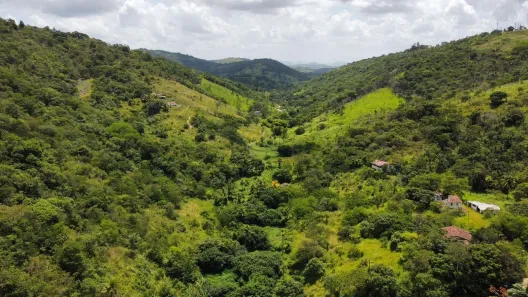 Fazenda / Sítio / Chácara com 3 Quartos à venda, 107000m² no Matriz, Vitória de Santo Antão
