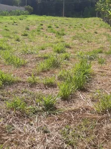 Fazenda / Sítio / Chácara à venda, 2500m² no , Ibiporã