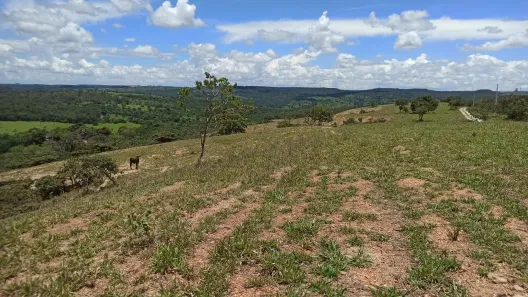 Fazenda / Sítio / Chácara com 5 Quartos à venda, 360000m² no Área Rural de Santo Antônio do Descoberto, Santo Antônio do Descoberto