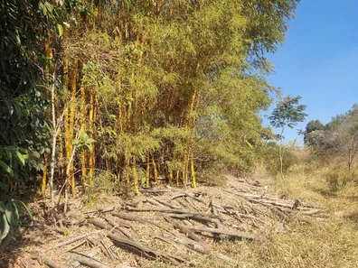 Fazenda / Sítio / Chácara com 4 Quartos à venda, 20528m² no Aglomeração Urbana de Jundiaí, Cabreúva