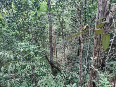 Fazenda / Sítio / Chácara à venda, 12000m² no Conjunto Habitacional Conceição Gomes Rabelo, Santo Antônio do Descoberto
