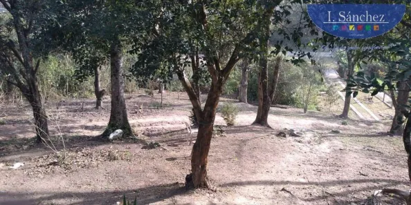 Fazenda / Sítio / Chácara com 2 Quartos à venda, 3000m² no Jardim Rio Negro, Itaquaquecetuba