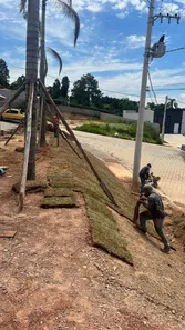 Fazenda / Sítio / Chácara com 2 Quartos à venda, 1000m² no , Mairinque