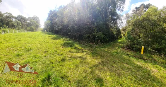 Fazenda / Sítio / Chácara à venda, 12400m² no Matulão, Tijucas do Sul