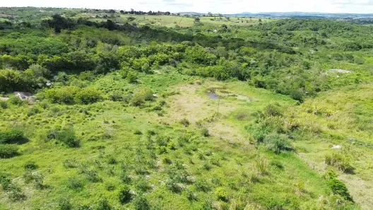 Fazenda / Sítio / Chácara à venda, 30000m² no , Sairé