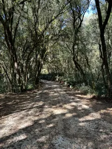 Fazenda / Sítio / Chácara com 5 Quartos à venda, 27500m² no Zona Rural, Campo Magro