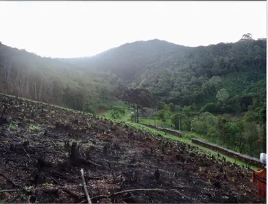 Fazenda / Sítio / Chácara à venda, 919600000m² no , Rio Branco do Sul