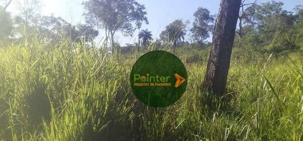Fazenda / Sítio / Chácara à venda, 3660000m² no , Pedro Afonso