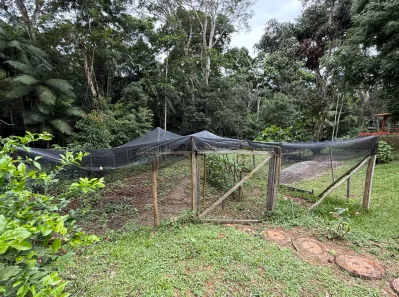 Fazenda / Sítio / Chácara com 3 Quartos à venda, 30000m² no Amparo, Nova Friburgo