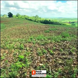 Fazenda / Sítio / Chácara à venda, 1360000m² no Centro, Nossa Senhora das Dores